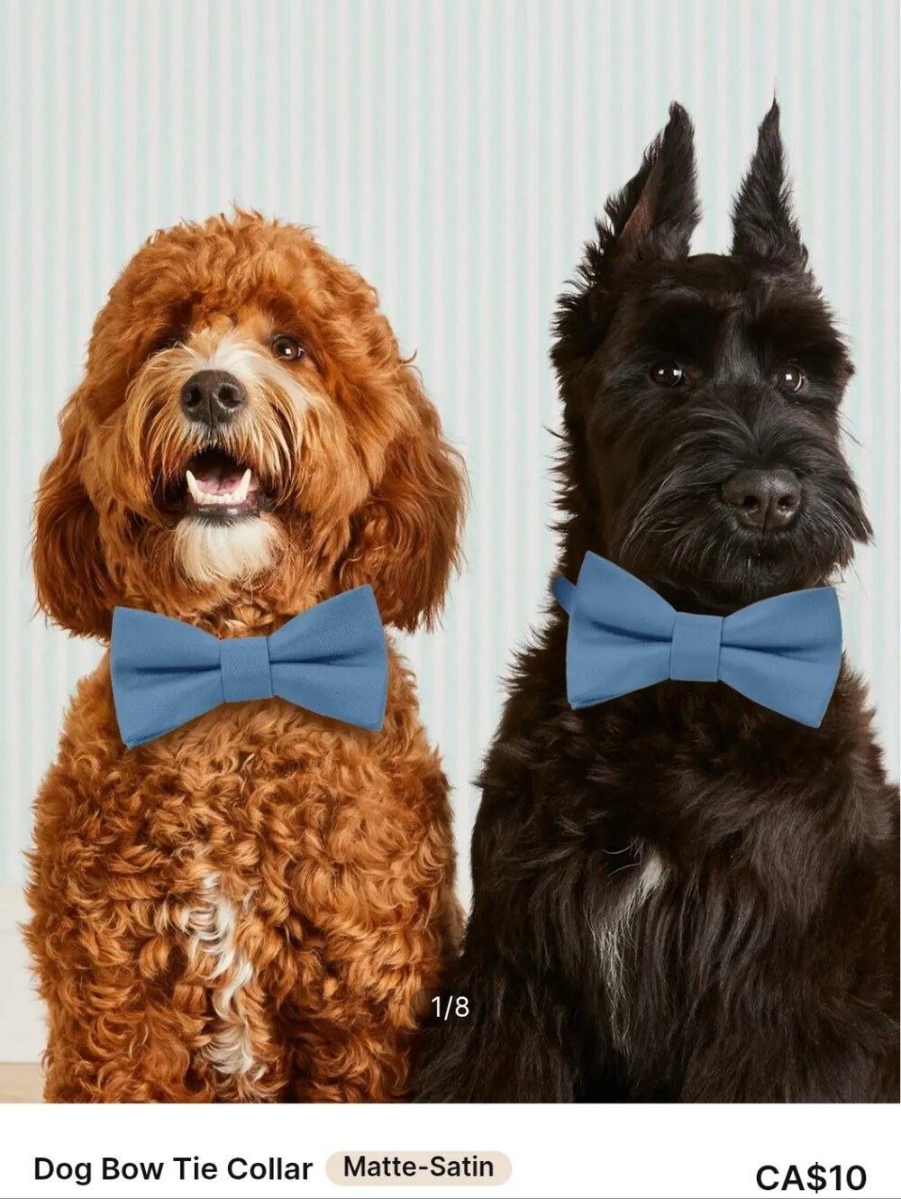 Dog Bow Ties Azazie